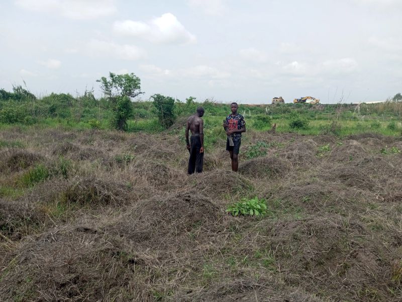 Patience of a farmer: Lessons for professionals