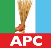 APC logo