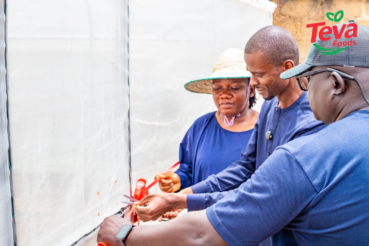Food insecurity: Firm unveils farm estate, urges youths to embrace agriculture