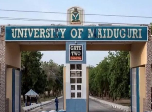 Tinubu renames University of Maiduguri to Muhammadu Buhari University