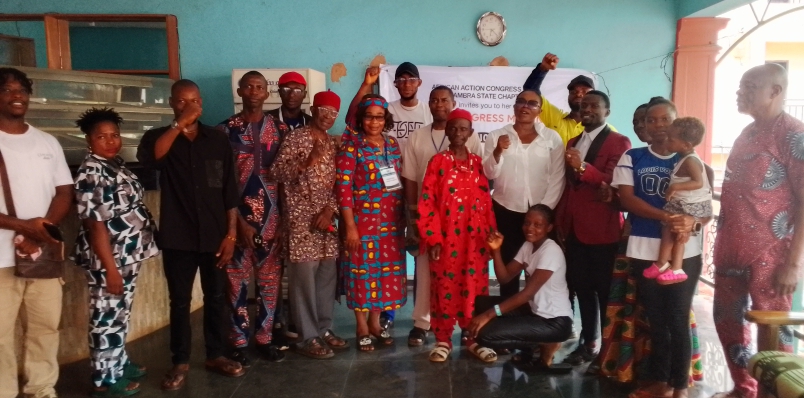 AAC flagbearer, Ifemeludike returned as party chair, vows equitable society