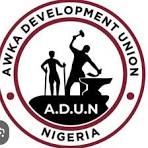 Tension rises as Anayo Nweke challenges ADUN election delegate structure