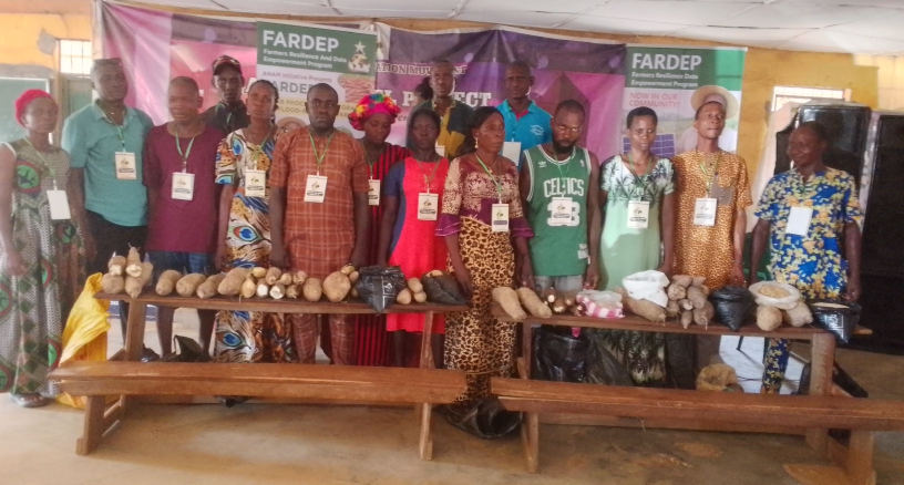 Flooding: Group to empower 40 farmers on solar processing, storage in Anambra