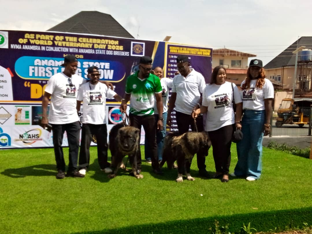 Dog Show