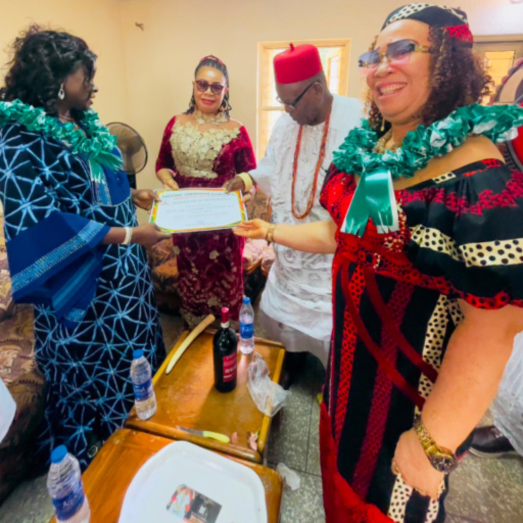 Why we conferred special recognition on Anambra Monarch – NOA