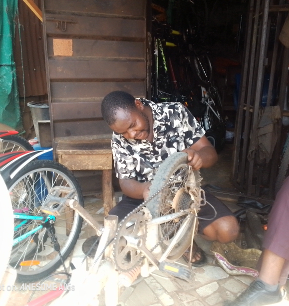 Bicycle repairer